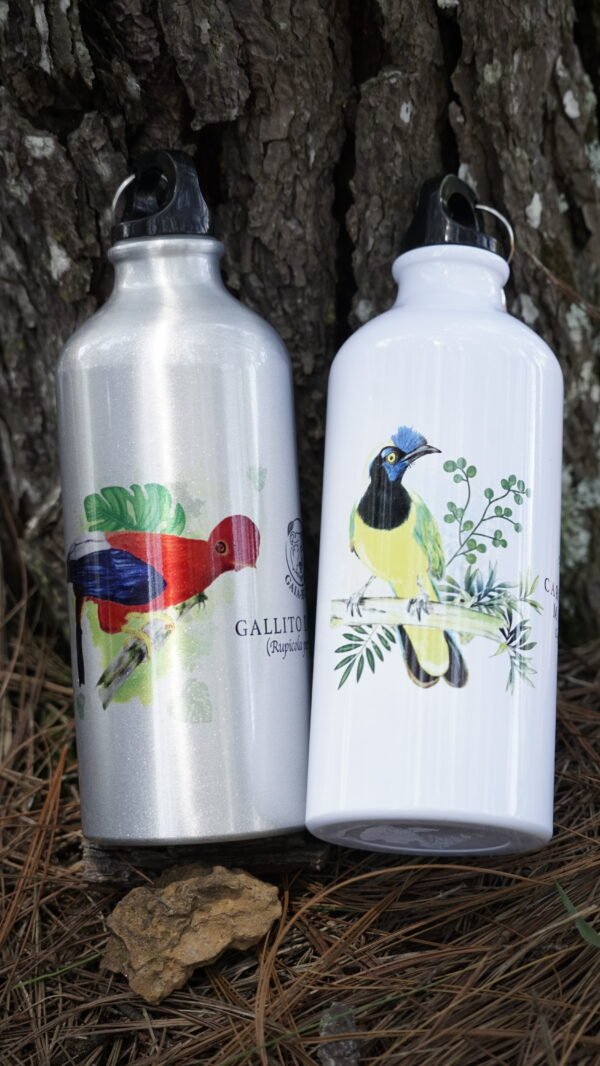 TERMO (3) Termo Metálico